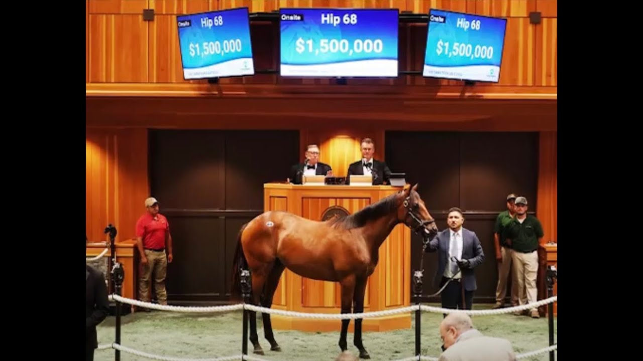 Unfiltered Behind the scenes at "The Sale" FasigTipton Saratoga