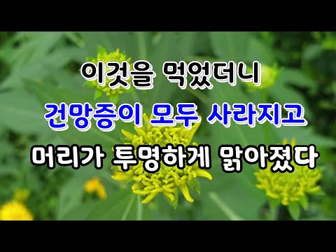 암세포 세포자멸사를 유도하고 불필요한 지방축적을 모조리 없애주는 놀라운 약초