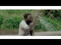 SAFARI By SULEY B Official Music Video 2017 SAFARI By SULEY B Official Music Video 2017