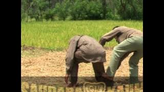 Silek Sungai Patai with weapon