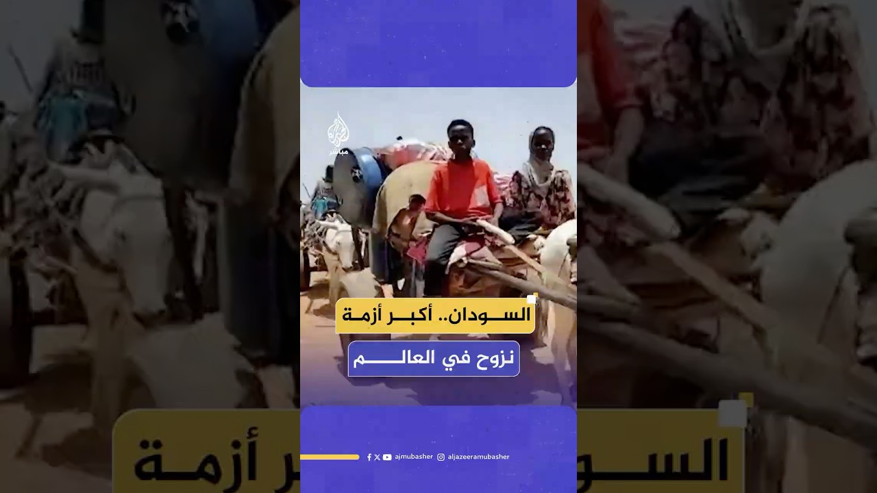 أرقام صادمة يكشف عنها رئيس بعثة منظمة الهجرة الدولية لحركة النزوح في السودان