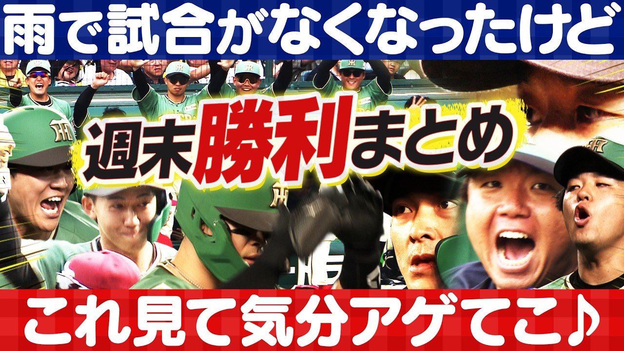 【楽天戦２連勝】雨で試合がないこんな日は週末の気持ちいいシーンを見て気分アゲてこ♪ 阪神タイガース密着！応援番組「虎バン」ABCテレビ公式チャンネル