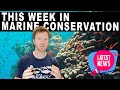 Are we hitting our BIODIVERSITY GOALS? - This Week in Marine Conservation - Part 1 of 2!