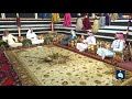 الشاعر أحمد الشاطر مضايف أهلنا إزهيريات 
