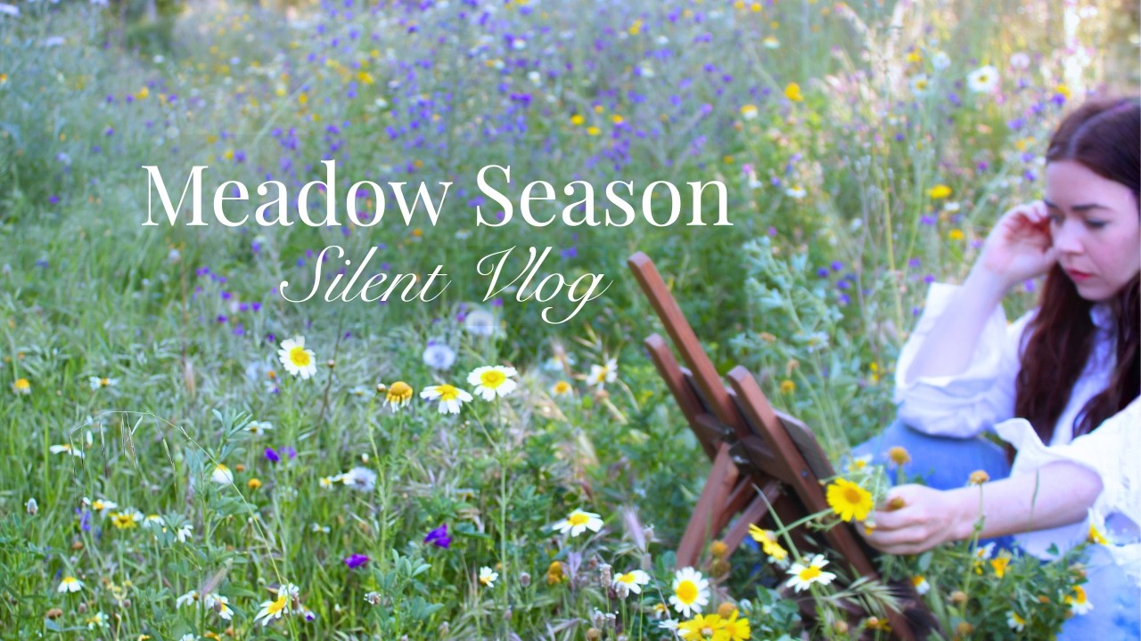 The Last Day of Spring, The First Moon of Summer🌱 Meadow walks, painting flowers, full moon wishes.🌝