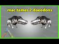 mac tames 2 daeodons 🐖🐖