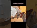 #shorts #funny #gaming #csgo#counterstrike cs2moments #cs2highlights #cs2clips #counterstrike #cs2