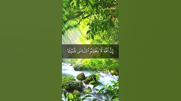 تلاوة مؤثرة | وَمِنْهُم مَّن يَنظُرُ إِلَيْكَ | آية تهز القلوب وتريح النفوس