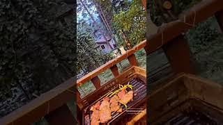 Gel Bahtımın Kar Beyazı Resimi