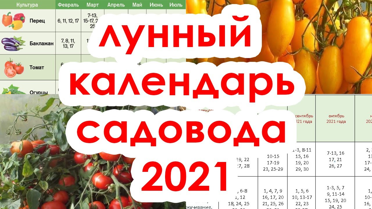 Апрель 2021 лунный календарь посевной. Лунный посевной календарь. Лунный календарь на февраль посевной томаты. Посевной календарь на март помидоры. Посадочный календарь на февраль март томатов перца.