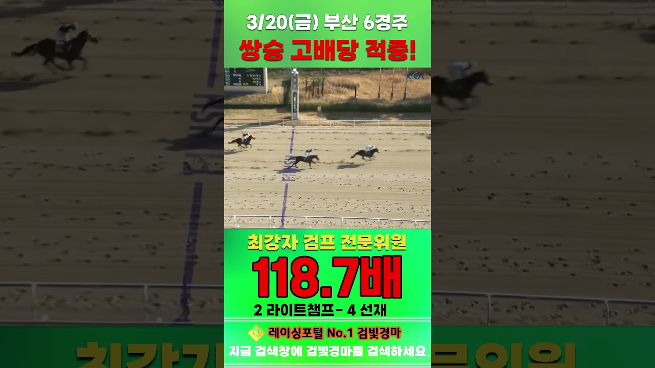 [부산 경마] 3월 20일 금요 6경주 최강자 검프 전문위원 쌍승 고배당 적중 #경마 #horse #한국마사회 #automobile #하이라이트 #뉴스 #riding #게임
