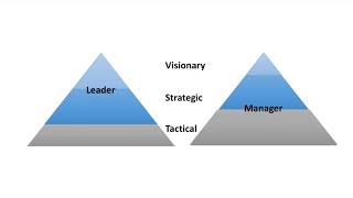 HBR Review What Leaders Really Do