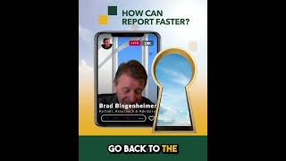 Sl Government How Can We Report Faster And Which Balances Can Be Estimated?