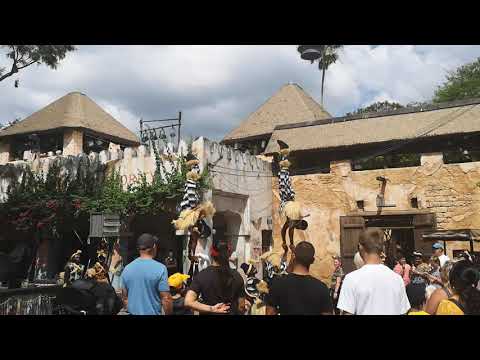 Acrobat's at Disney
