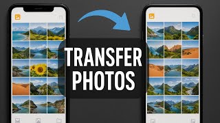 Transfer Gallery Photos From One Phone To Another Tutorial