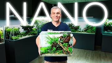 Building the Perfect Nano Aquarium - Small but Epic!