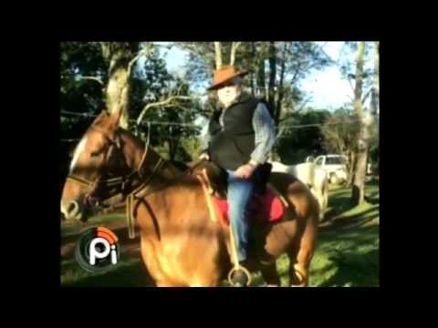Distinción al músico