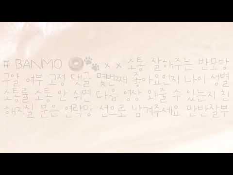 소통 잘해주는 반모방 최영 가주는 반모방 성의글 써주는 반모방 차별 없이 다 받는 반모방 자동 구알 해주는 반모방 양식없는 파연카 반모방 나눔 정식 구하는 반모방 정식 구해요