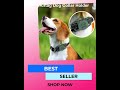 Air Tag Dog And Cat Collar Holder Water Proof Shock Proof Silicone Anti loss GPS Pet Accessory