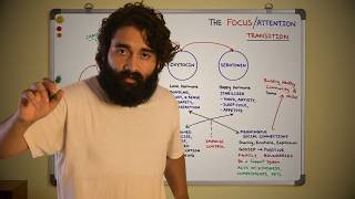 The Dopamine - Attention Transition | Kill Distractions