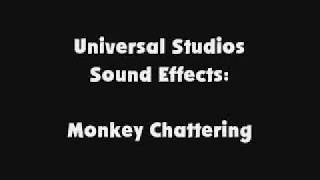 Universal Studios SFX Monkey Chattering