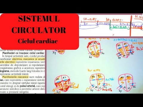 ADMITERE MEDICINA: SISTEMUL CIRCULATOR 6: Inima partea a II-a - Ciclul cardiac