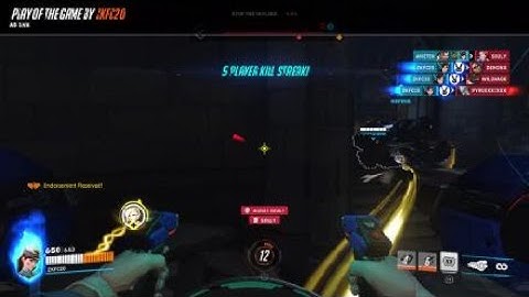 D.va has no skill issue