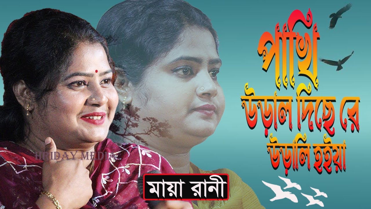পাখি উড়াল দিছে রে | পাখি উড়াল দিছে রে উড়ালি হইয়া | মায়া রানী | মায়া রানীর গান | Hriday Media