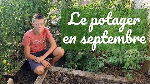 Que faire au potager en septembre ?