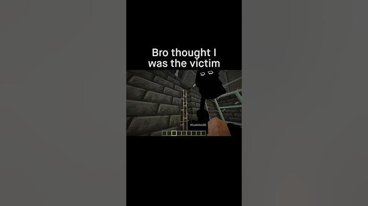 Minecraft Meme