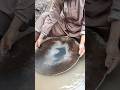 استخراج طلا در افغانستان  جالب
