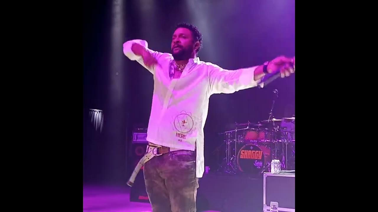 Shaggy Concert pt.1 YouTube