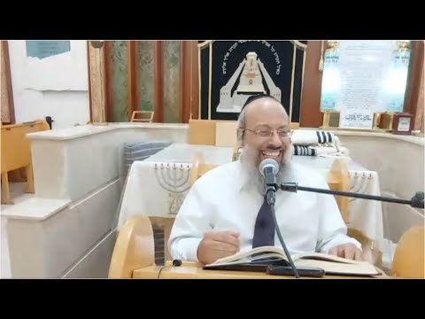 פרשת לך לך | הדרך להגיב לאויבים | ריפוי מול דמיונות ᴴᴰ