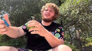 Jungle Boys- Animal tsunami 33% review