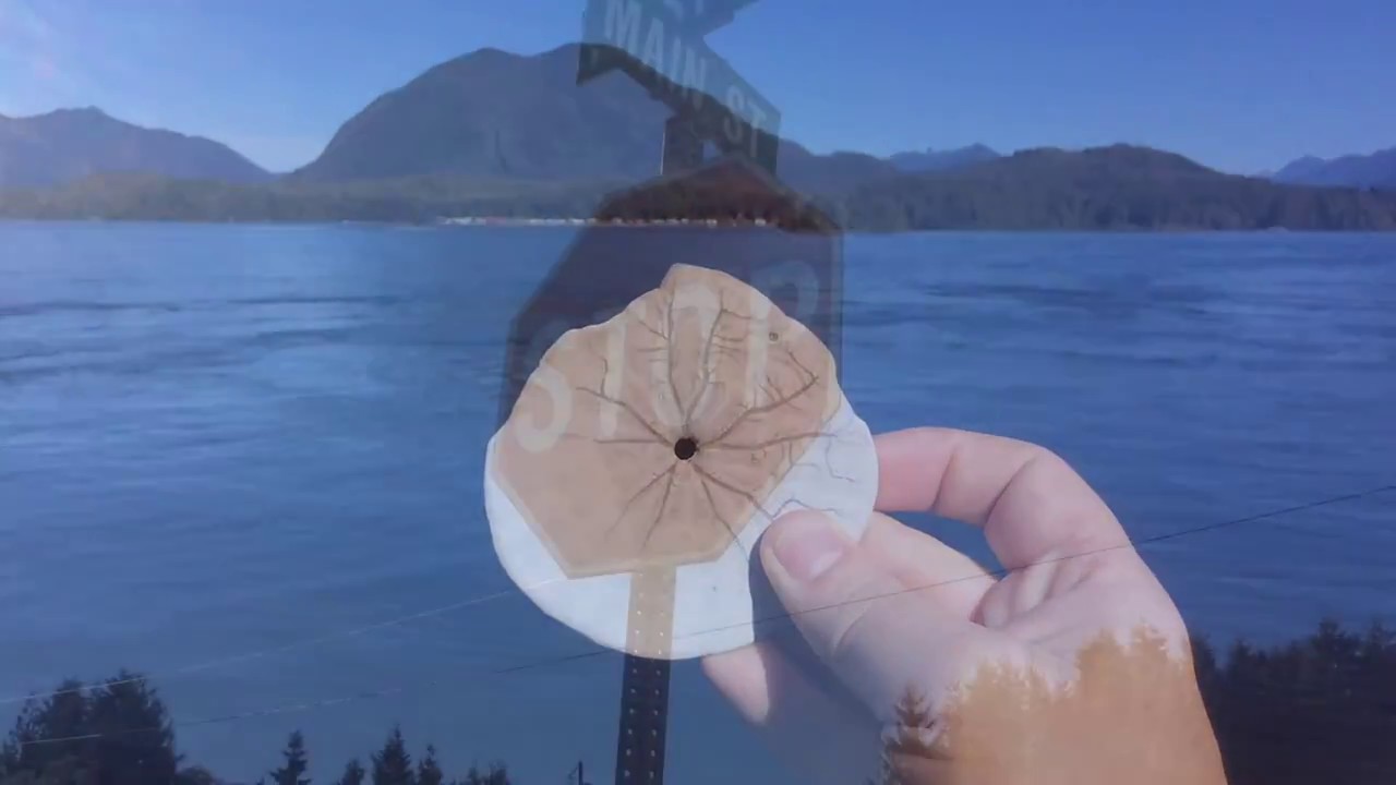 NowhereNomad 16 Boat ride to Meares Island