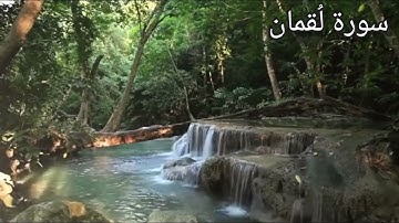 #القرآن_الكريم سورة لُقمان | تلاوه وصوت جميل |  القارء سامي الدوسري