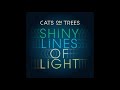 Capture de la vidéo Cats On Trees - Shiny Lines Of Light (Musique De La Publicité Galeries Lafayette) (Audio Officiel)