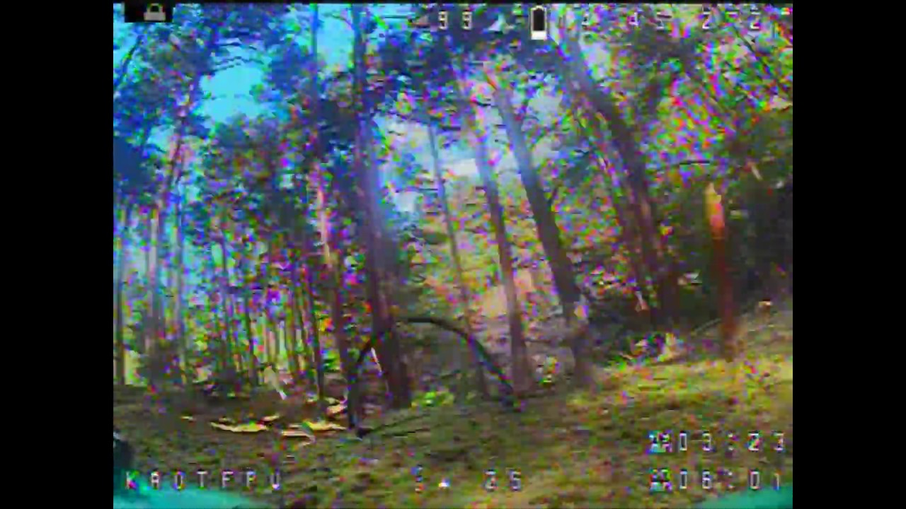 FPV parcours training in the woods