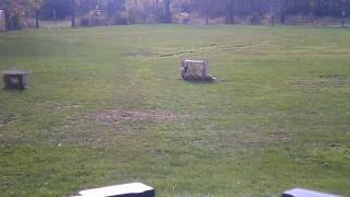 Target practice:  PSE Toxic