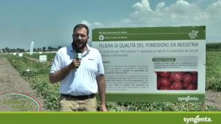 Orticoltura & Valore Roadshow 2016 - GGP e filiera di qualità pomodoro da industria