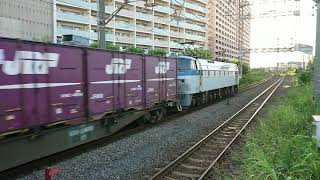 9月5日小田栄駅 吹田A5運用 1096レ EF66-101 トップナンバー機
