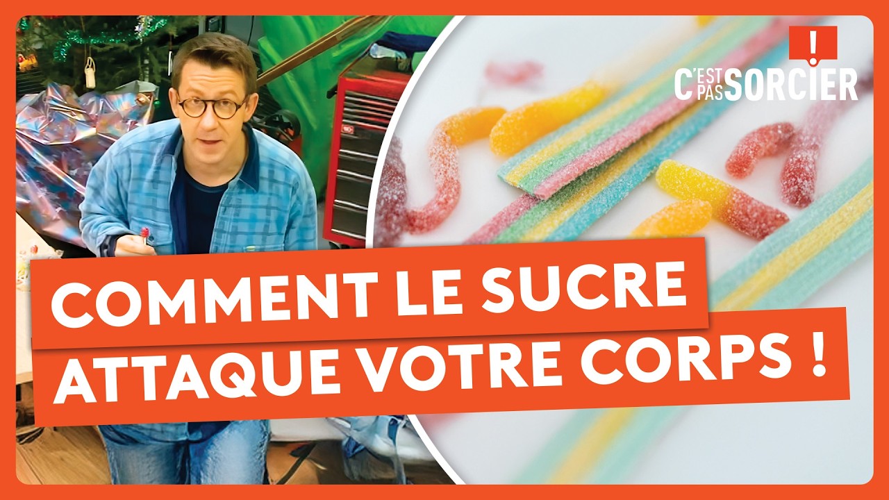 Comment le sucre attaque votre corps ! - C’est pas sorcier