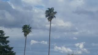 Partly to Mostly Cloudy and SE Breeze 5:15pm March 26, 2019