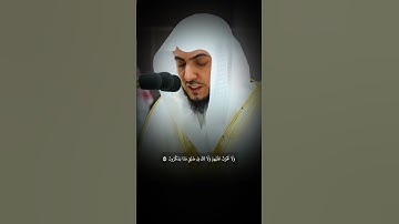 #الوليد_الشمسان - سورة النحل #القرآن_الكريم #تلاوة_خاشعة