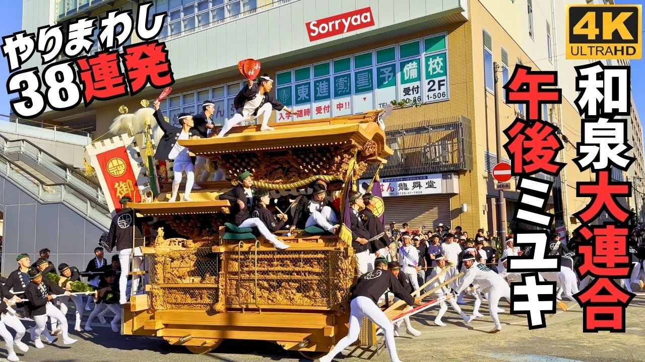和泉だんじり大連合 難所ミユキのやりまわし 令和6年 4K 高画質
