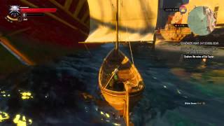 Witcher 3 BUG - falling down