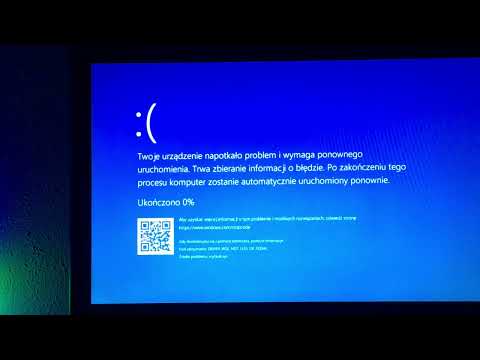 Funny Dog has BSOD