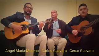 Video thumbnail of "POTRERILLO - BOVEA Y SUS VALLENATOS ( CANTA CARLOS GUEVARA)"