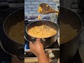 Live Highlight 