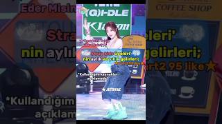 Stray Kids Üyelerinin Aylık Ve Yıllık Gelirleri